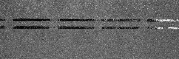 Коньково-карнизная черепица Docke Premium, черника купить в Сергиевом Посаде